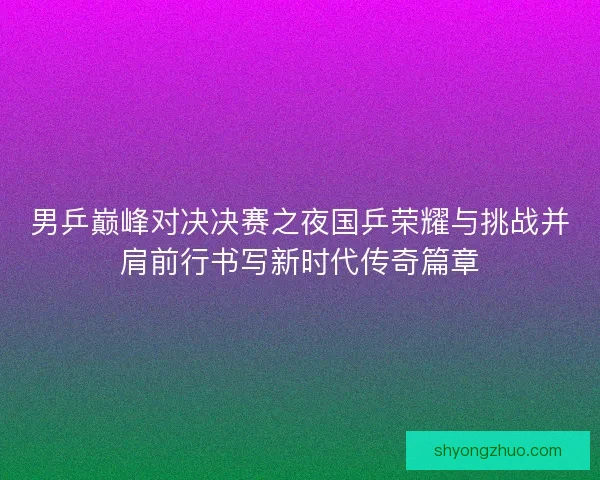 男乒巅峰对决决赛之夜国乒荣耀与挑战并肩前行书写新时代传奇篇章