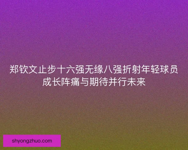 郑钦文止步十六强无缘八强折射年轻球员成长阵痛与期待并行未来